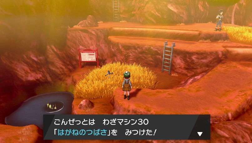 わざマシン30はがねのつばさ