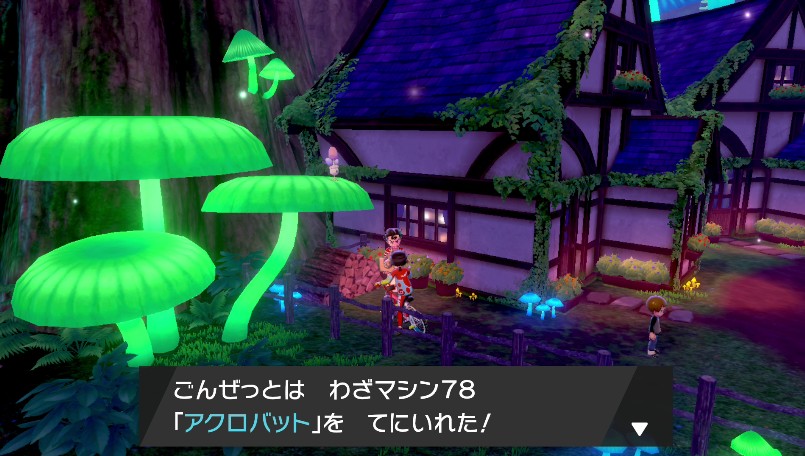 わざマシンアクロバット